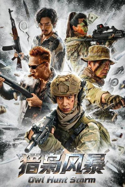 Póster de Owl Hunt Storm