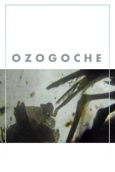 Póster de Ozogoche