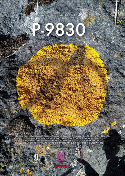 Póster de P-9830