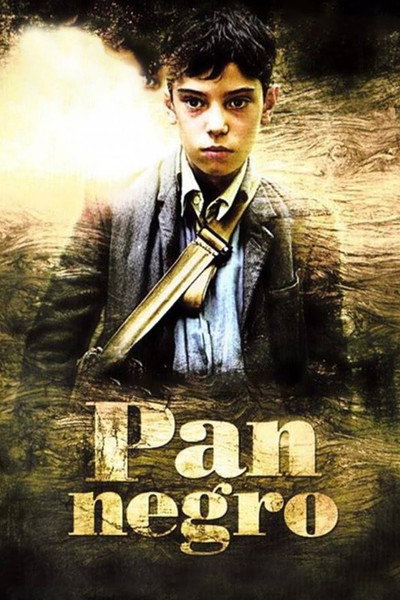 Póster de Pa negre