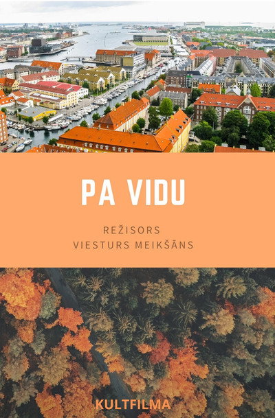Póster de Pa vidu
