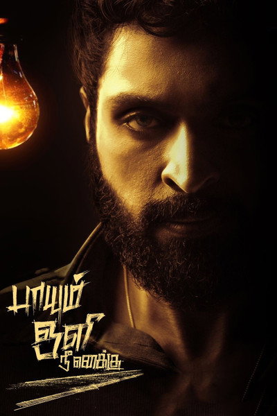 Póster de Paayum Oli Nee Yenakku