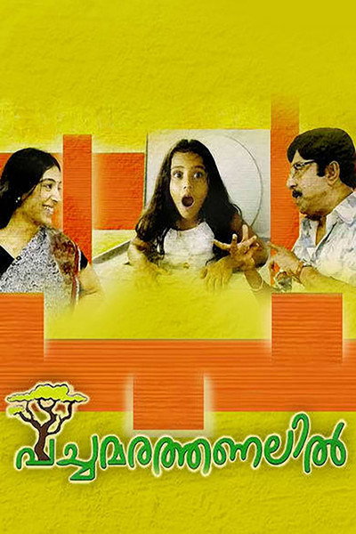 Póster de Pachamarathanalil