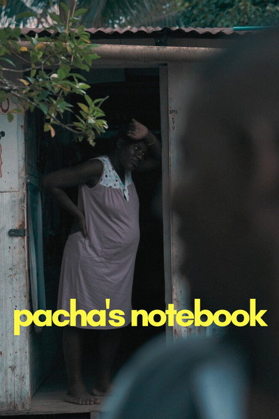 Póster de Pacha's Notebook