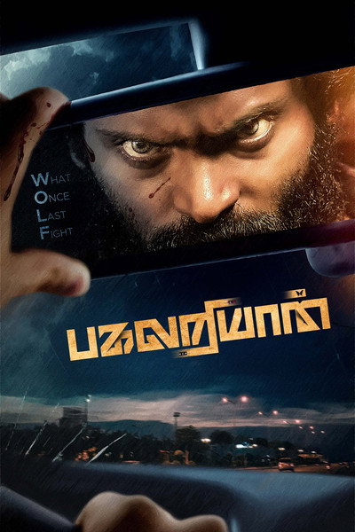Póster de Pagalariyaan