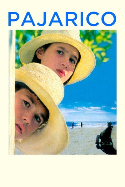 Póster de Pajarico