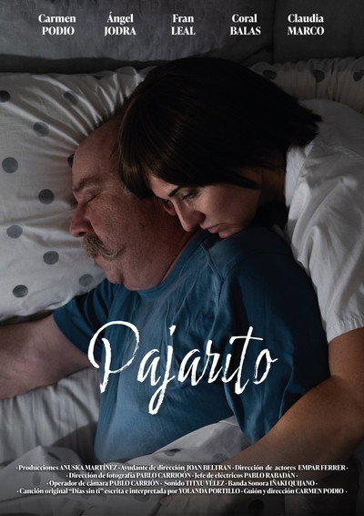 Póster de Pajarito
