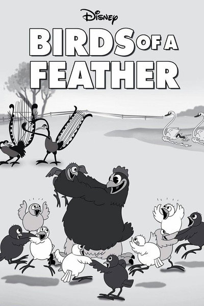 Póster de Pájaros de diferente plumaje
