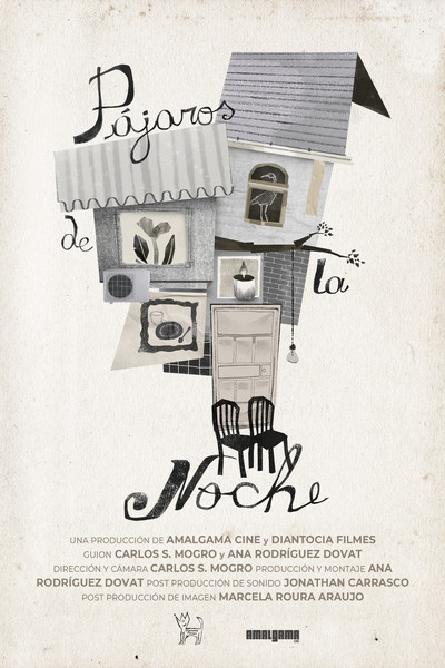 Póster de Pájaros de la Noche