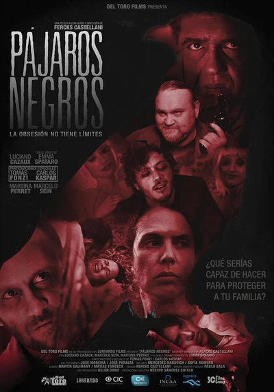 Póster de Pájaros Negros