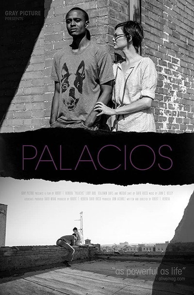Póster de Palacios