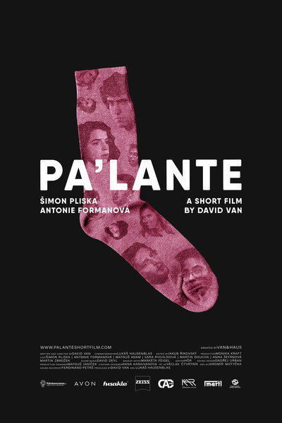 Póster de Pa'lante