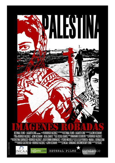 Póster de Palestine: Stolen Images