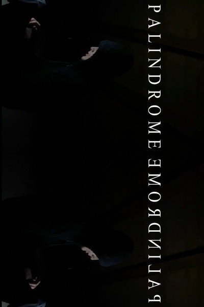 Póster de PalindromeemordnilaP
