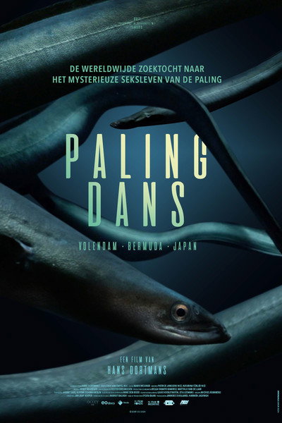 Póster de Palingdans