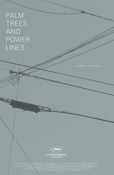 Póster de Palm Trees and Power Lines
