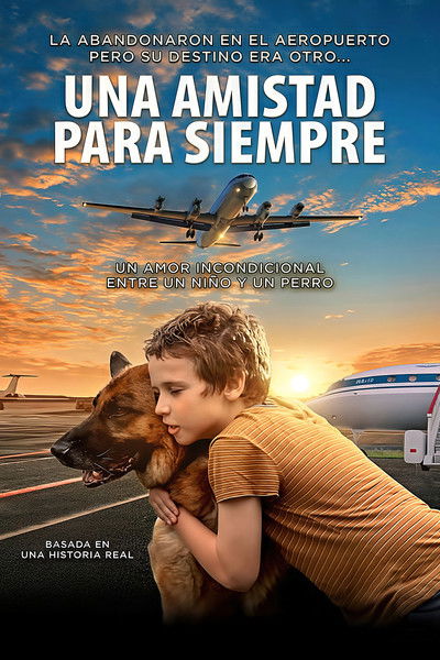 Póster de Palma