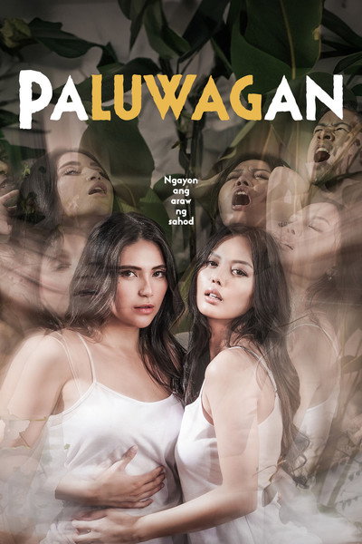 Póster de Paluwagan