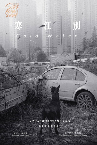 Póster de Panda