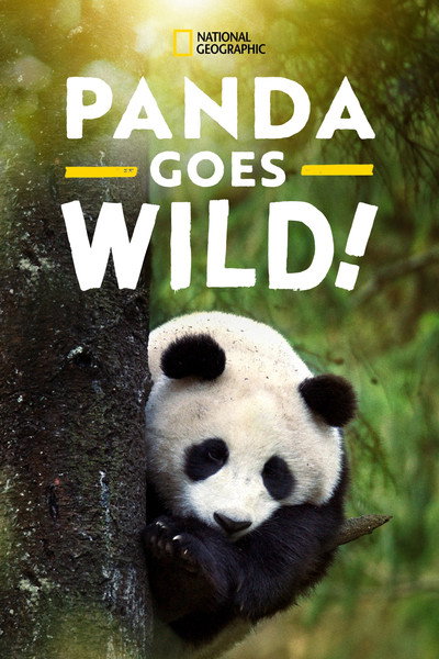Póster de Panda Goes Wild