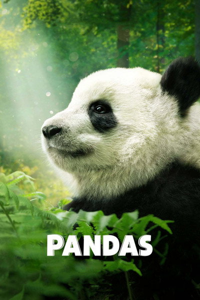 Póster de Pandas