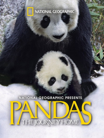 Póster de Pandas: The Journey Home