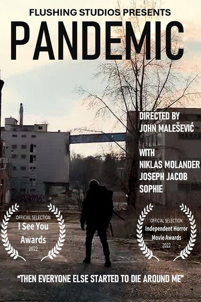 Póster de Pandemic