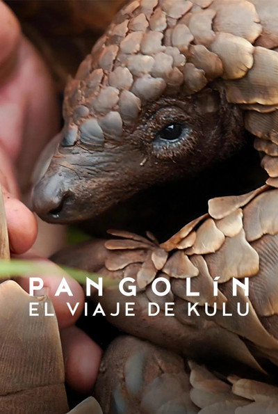 Póster de Pangolín: El viaje de Kulu