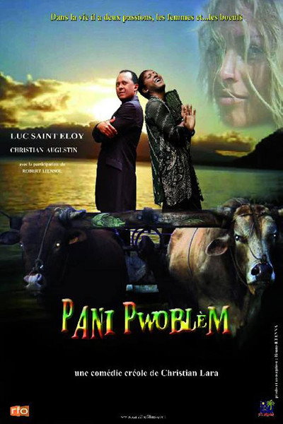 Póster de Pani pwoblem