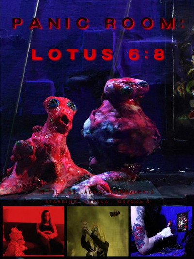 Póster de Panic Room: Lotus 6:8