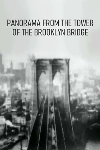 Póster de Panorama from the Tower of the Brooklyn Bridge