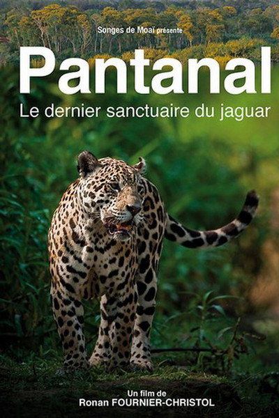 Póster de Pantanal, the Jaguar's Last Sanctuary