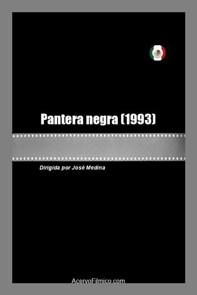 Póster de Pantera negra