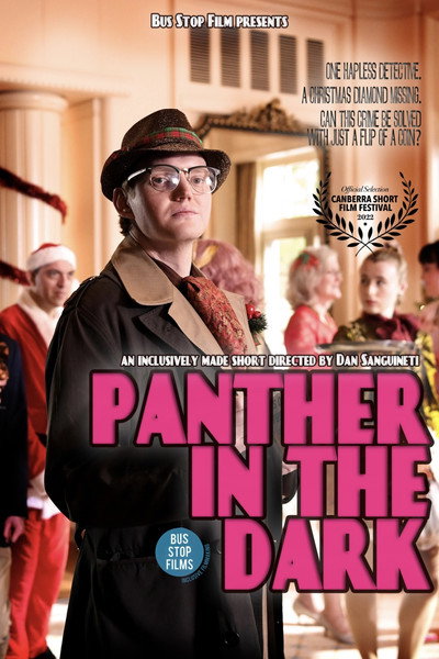 Póster de Panther in the Dark