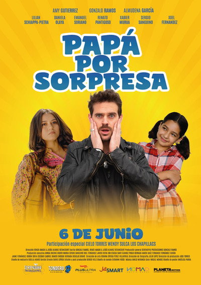 Póster de Papá Por Sorpresa