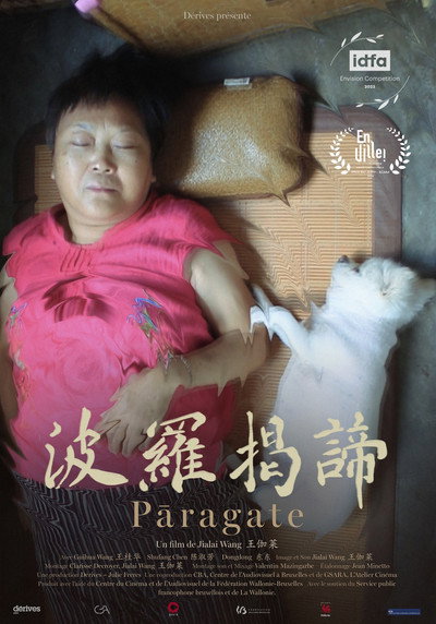 Póster de Paragate