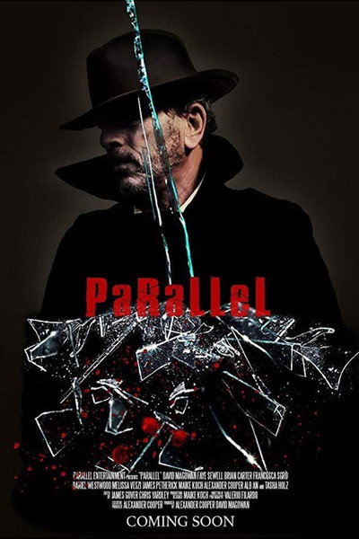 Póster de Parallel