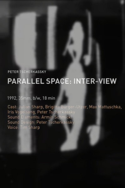 Póster de Parallel Space: Inter-View