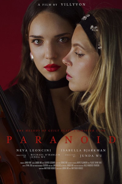 Póster de Paranoid