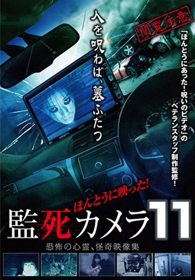 Póster de Paranormal Surveillance Camera 11