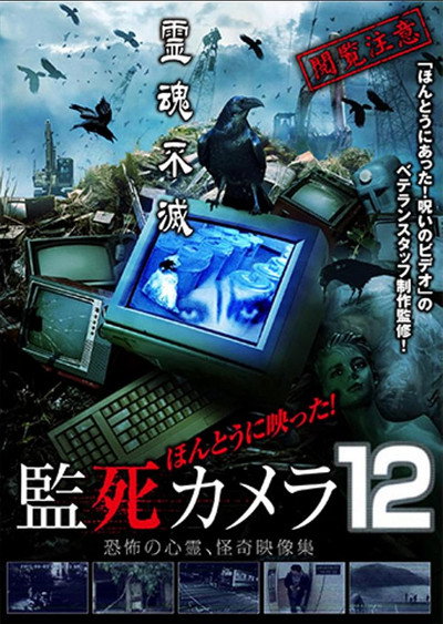 Póster de Paranormal Surveillance Camera 12