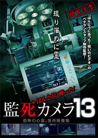 Póster de Paranormal Surveillance Camera 13