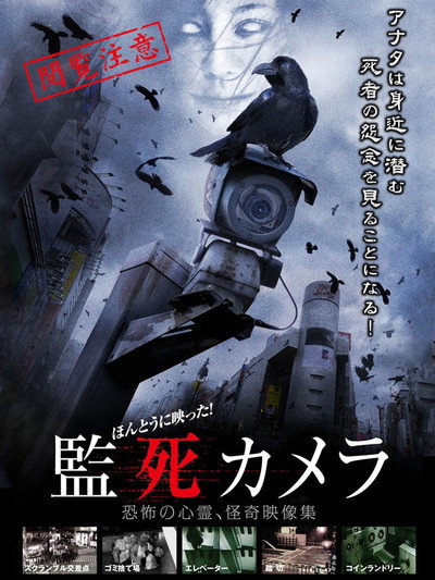 Póster de Paranormal Surveillance Camera