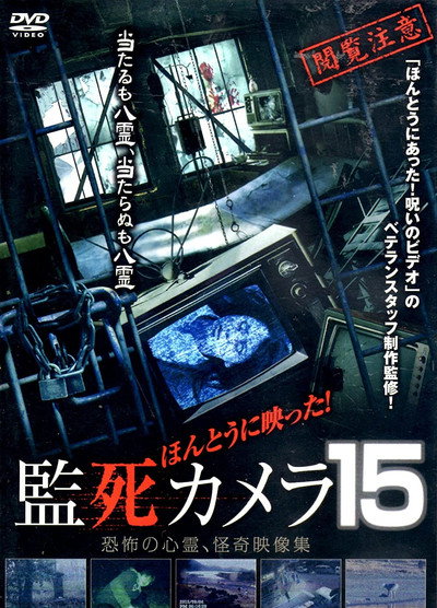 Póster de Paranormal Surveillance Camera 15