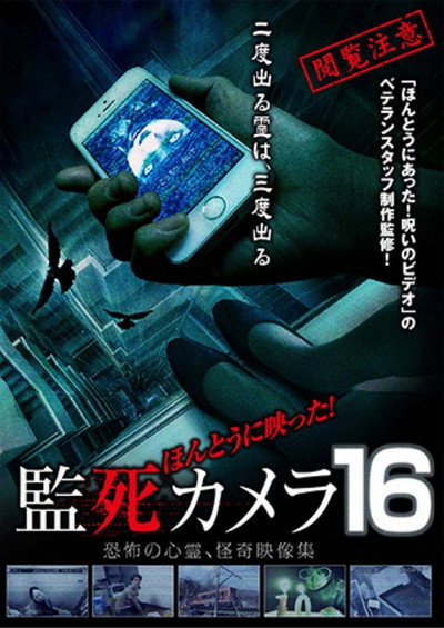Póster de Paranormal Surveillance Camera 16