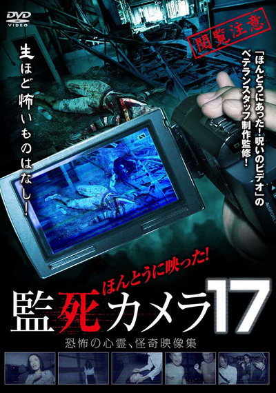 Póster de Paranormal Surveillance Camera 17