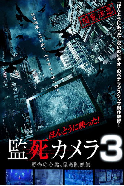 Póster de Paranormal Surveillance Camera 3