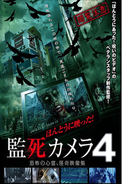 Póster de Paranormal Surveillance Camera 4