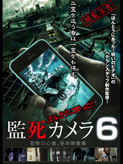 Póster de Paranormal Surveillance Camera 6