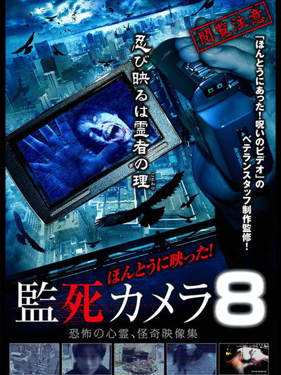 Póster de Paranormal Surveillance Camera 8